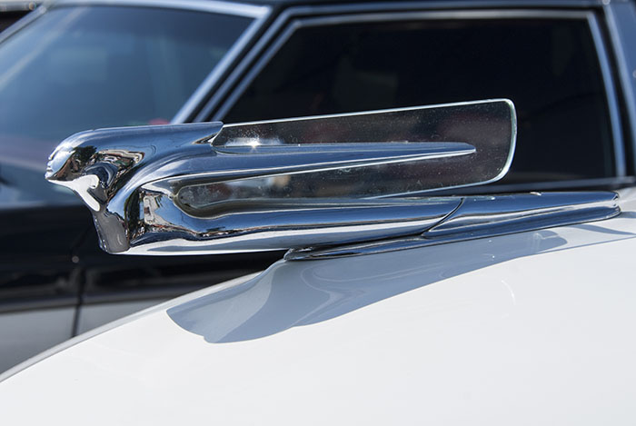 Hood ornament on white 1939 Cadillac